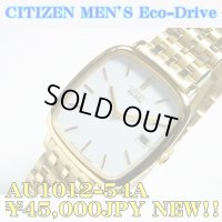 CITIZEN Eco-Drive MEN'S Watch